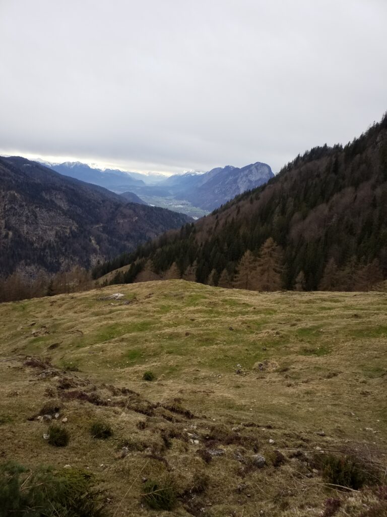 Blick über eine Almwiese auf ein Tal in der Ferne. Nebelig. Berge.
