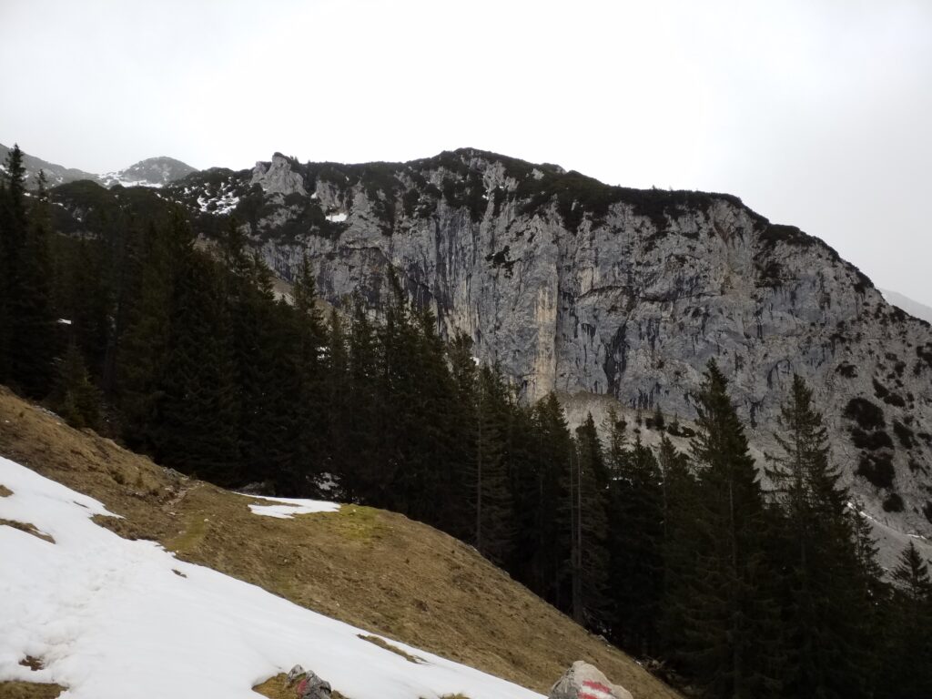 Links unten ein Schneefeld auf steiler Wiese. rechts eine Wegmarkierung auf einem Fels. Nach rechts unten zieht sich ein Wald. Gebirge im Hintergrund, oben begrünt.