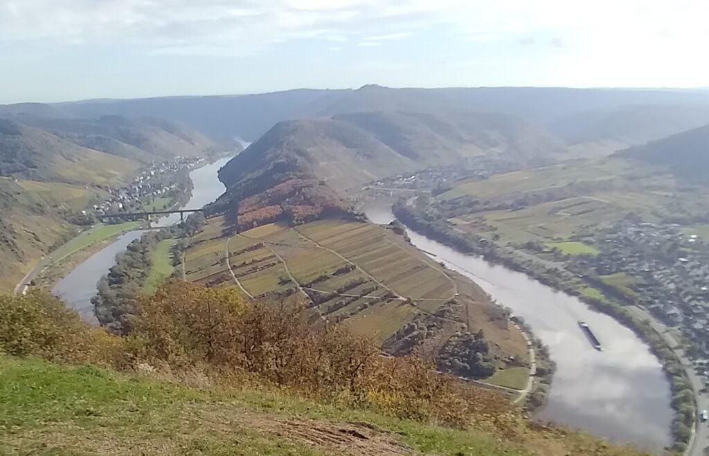 Blick auf eine der zahlreichen Moselschleifen. Die Mosel umfließt einen Weinberg. Rechts ein Frachter und eine Stadt dem Weinberg gegenüber. Links eine Autobrücke. Herbstlandschaft. Fotografiert von einer Anhöhe. Steiler Blick nach unten.